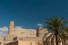 The Bahla fort-built in 13th century-and a palm tree Bahla-Oman Art Print